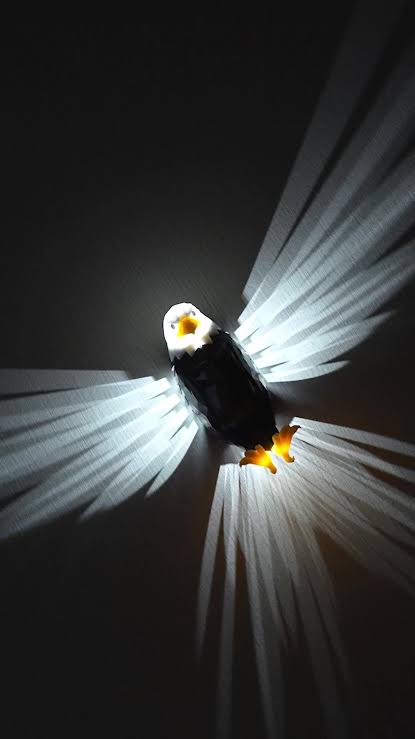 EAGLOW -  Eagle Projection Wall Light